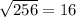 \sqrt{256} = 16