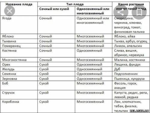 Тип корня , тип стебля ,тип листа, тип околоцветника и тип плода тюльпана и можно побыстрее​