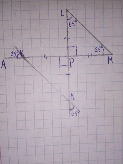 Два перпендикулярных отрезка KM и LN пересекаются в общей серединной точке P.Какой величины∡ N и ∡ K