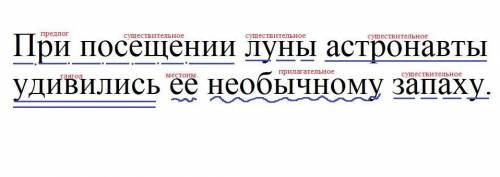 При посещении луны астронавты удивились ее необычному запаху. Сделать разбор предложения​