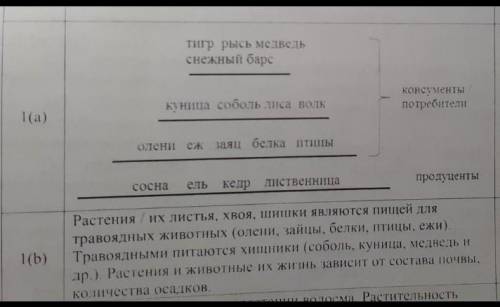 Объясните взаимосвязь компонентов в этой экосистеме заранее