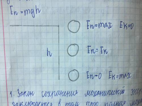 Камень упал с высоты 5 м. Потенциальная энергия от начала падения до удара о землю будет​