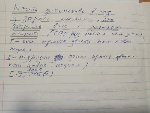 Зробіть ПОВНИЙ синтаксичний розбір складного речення і побудуйте до поданого речення схему: Біжить д