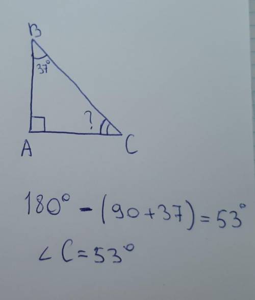 В Δ АВС угол А = 90°, угол В = 37°. Найдите величину угла С