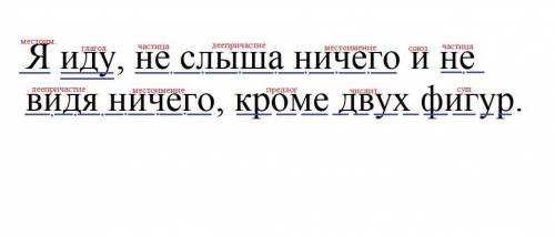 Я иду, не слыша ничего и не видя ничего, кроме двух фигур. Подчеркнуть все члены предложения, указат