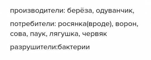 Производители Потребители Разрушители одуванчик,береза,ворон,сова,лягушка,паук,бактерии,росянка,черв