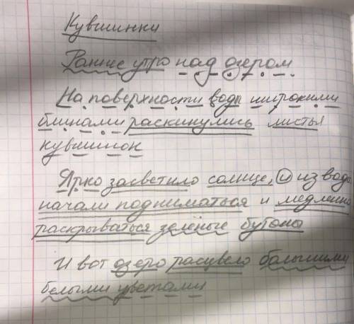 2. Спишите текст, подчеркните главные и второстепенные члены предложения.Кувшинки.Раннее утро над оз