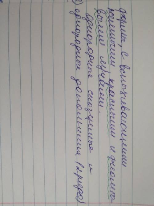 Даю + - Спишите предложения поставьте знаки препинания .подчеркните однородные как члены предложени