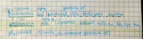 Полный синтаксический разбор. Коренастый дуб, раскинув свои вырезные листья, украшал лес.