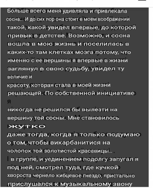 3. Перевод текста с украинского языка на русский (оценивается отдельно) Сосна Найбільше мене дивувал