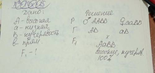 Задача по генетике. Очень Высокую собаку с кучерявой шерстью (оба признака доминантны, оба в гомозиг