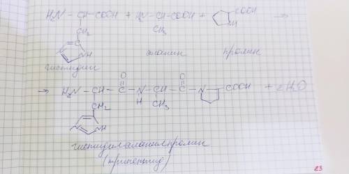 Напишите формулу трипептида из гистидина, аланина и пролина?