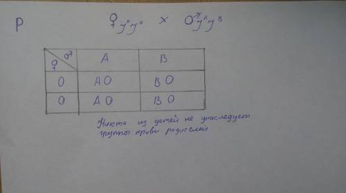 Женщина с 1 группой крови и мужчина с IV крови вступили в брак. Какова вероятность рождения у них де