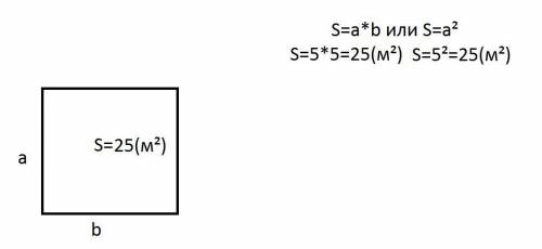 Чему равна площадь квадрата со стороной 5 м