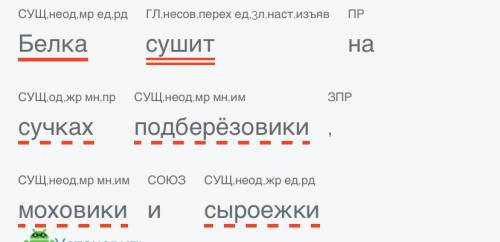 Выполнить синтаксический р-р предложений: а) Белка сушит на сучках подберёзовики, моховики и сыроежк