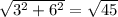 \sqrt{3^{2}+6^{2} } = \sqrt{45}