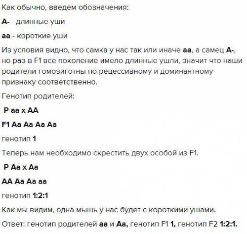 У мышей длинные уши – доминирующий признак, а короткие уши – рецессивный. Скрестили самца с длинными