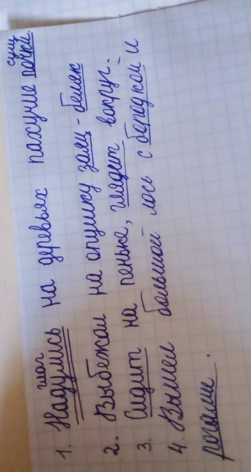 Снизу написано найди в тексте однородные члены. Подчеркни их: Во втором предложении подчеркни главны