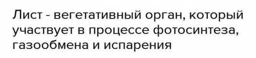 Как называется вегетативный орган растения, который участвует в процессах фотосинтеза, испарения, га