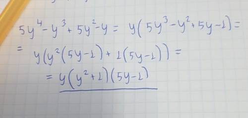 Розкладіть на множники вираз 5y⁴-y³+5y²-y​