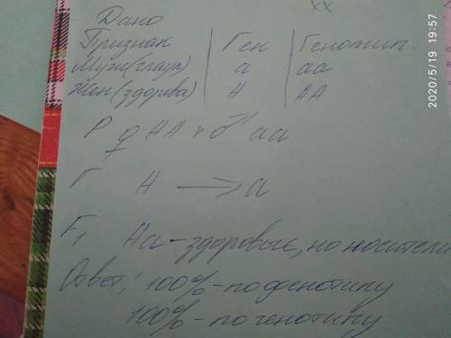 У человека глаукома наследуется как аутосомно-рецессивный признак (а). Мужчина, страдающий глаукомой