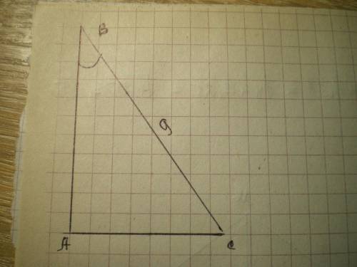 ЖЕЛАТЕЛЬНО С РИСУНКОМ. У прямокутному трикутнику гіпотенуза = 9см, а синус одного із гострих кутів =