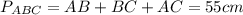 P_{ABC} =AB+BC+AC=55cm