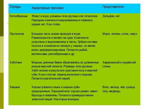 С чем связаны особенности строения представителей разных отрядов млекопитающих ​