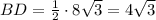 BD = \frac{1}{2} \cdot 8\sqrt{3} = 4\sqrt{3}