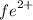 {fe}^{2 + }