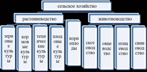 Заполните таблицу. 1, 2.Отрасли сельского хозяйства. 1, 2 Структура. 1, 2 География размещения(район