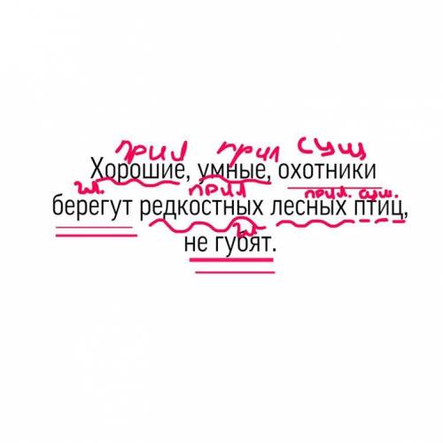 Хорошие, умные, охотники берегут редкостных лесных птиц, не губят. Синтаксический разбор предложения