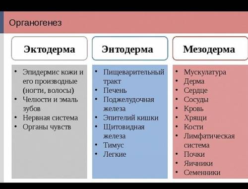 Производные эктодермы: Снизу ответы. 1) кровь, печень, почки 2) потовые железы, кожа, легкие 3) слю