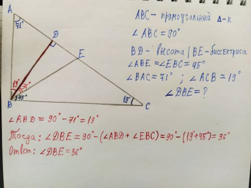 Oстрые углы прямоугольного треугольника равны 19° и 71°. Найдите угол между высотой и биссектрисой,