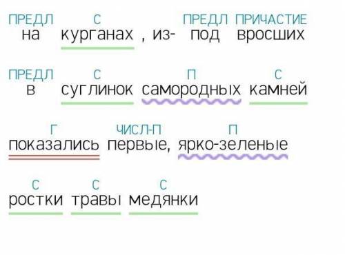 На курганах ,из- под вросших в суглинок самородных камней показались первые, ярко-зеленые ростки тра