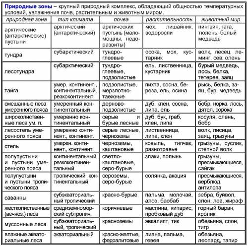 Природная зона Особенности климата Типичные растения Типичные животные ТАБЛИЦА, ЗАПОЛНИТЕ
