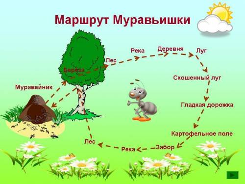 Составь схему путешествия муравьишка с насекомыми