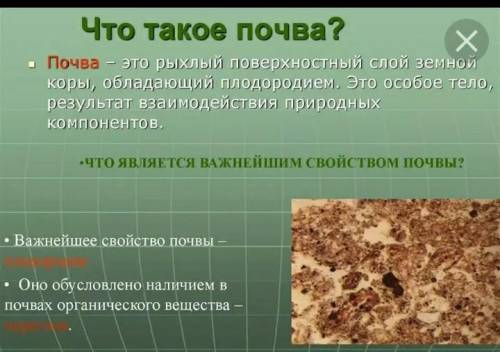 ответе на во Что такое почва? 2. Основоположник учения о почвах 3. Состав почвы 4. Строение. Почве