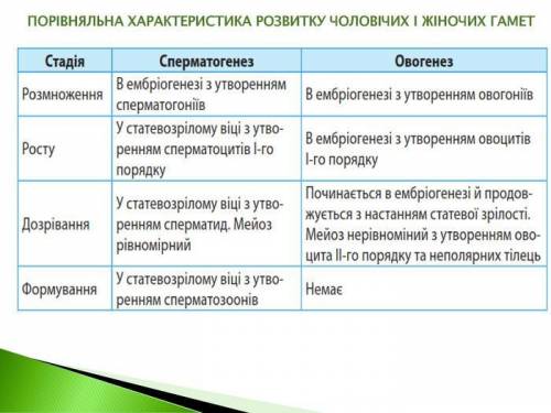 Мне нужно ответы только на 2 последних ​