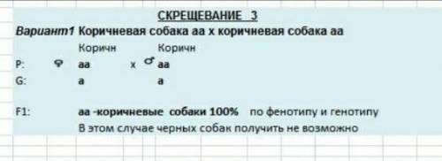 НУЖНЫ РЕШЕНИЯ ЗАДАЧ Задача № 1. У людей карий цвет глаз доминирует над голубым лучше владеть правой