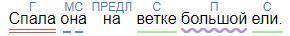 Синтаксический разбор предложения. Спала она на ветке большой ели. за правильный ответ​