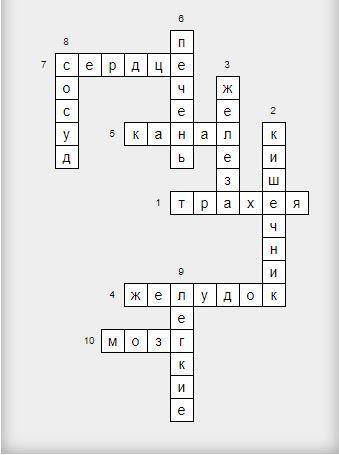 Кроссворд на тему внутренние органы человека не менее 10 во и ответов ​