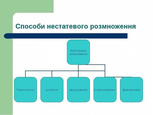 Які є спопсоби нестатевого розмноження