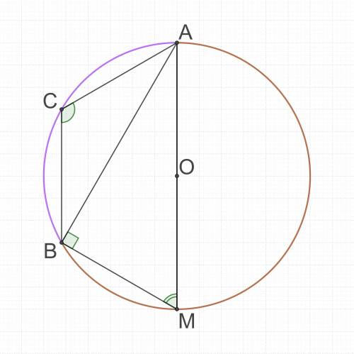 Точки A и B делят окружность с центром O на дуги AMB и ACB так, что дуга ACB в 2 раза меньше дуги AM