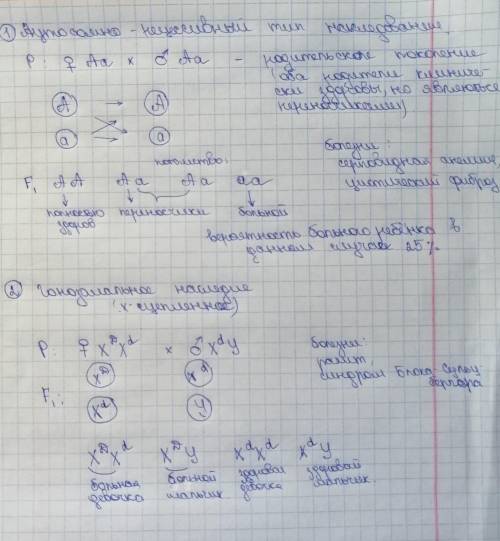 с заданиями по генетике! Составить примеры родословных (по одному) по каждому типу наследования при