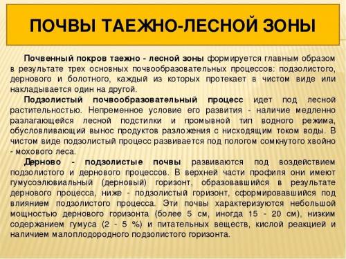 Какой почвообразовательный процесс характерен для лесной зоны?А) засолениеБ) накопление гумусаВ) вым