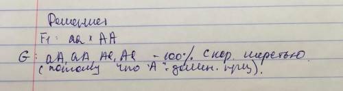 У мышей коричневая окраска шерсти доминирует над серой. При скрещивании гомозиготных мышей с коричне
