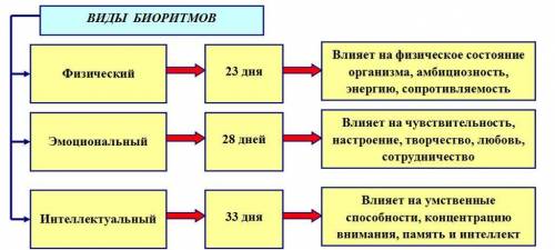 1. Що таке біоритми? 2. Яка наука вивчає біоритми? 3. Які є види біоритмів? 4. Наведіть приклади зов