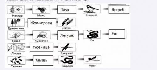 Рассмотрите внимательно экосистему любого аквариума. ответьте на во и выполните задания. 1. Какие у