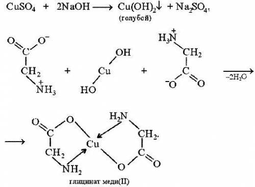 3. Напишите уравнение (схему) биуретовой реакции.